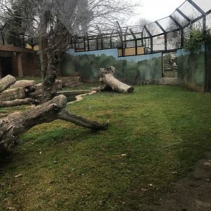 Jaguar exhibit (pic 1)