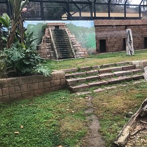 Jaguar exhibit (pic 2)