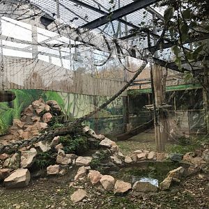 Gibbon enclosure (2nd pic)
