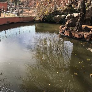 Nile hippopotamus exhibit (pic 2)