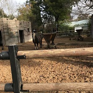 South American exhibit (pic 1)