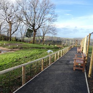 Flamingo Lagoon Viewing Area
