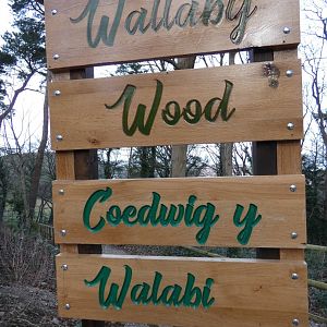 Wallaby and Rhea Enclosure Signage