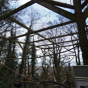 Pine Marten Enclosure
