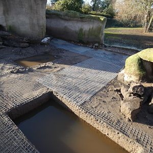 Work on Aardvark enclosure