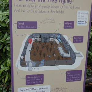 Map of Fruit Bat Forest
