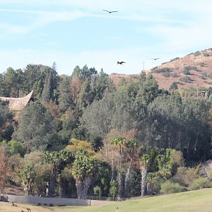 Tiger Trail from Afar