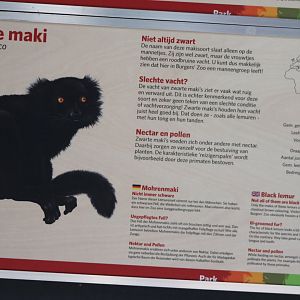Sign Black lemur