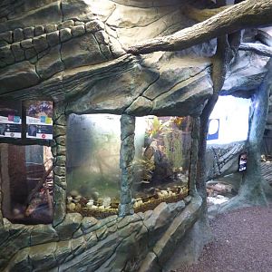 View in 'Wee Beesties'