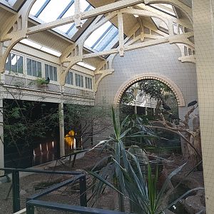 Bird-house - Arid part