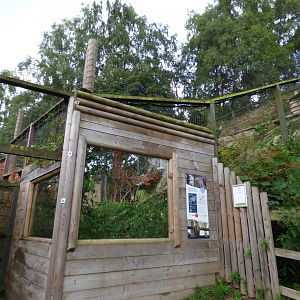 Eurasian Eagle Owl Aviary