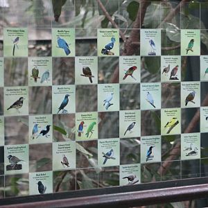 Bird ID Signage - Owen's Aviary
