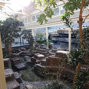 Bird-house - Shore-part