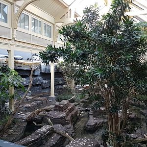 Bird-house - Shore-part