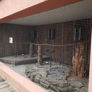 Rainbow lorikeet-aviary