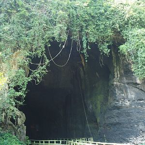 Cave Entrance - Gomantong Cave, Sabah, Borneo