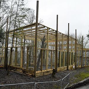 Snow leopard extension under construction