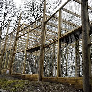 Snow leopard extension under construction.