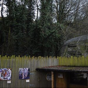 Possible outline of future tiger extension?