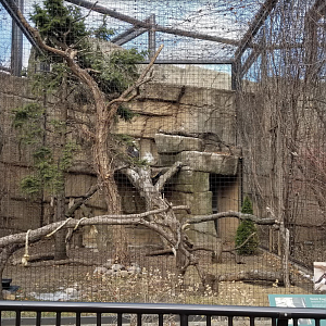 Dec. 2017 - Birds of Prey - Bald Eagle Exhibit