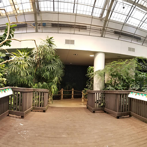 Dec. 2017 - McCormick Bird House - Tropical River Exhibit (16 Species)