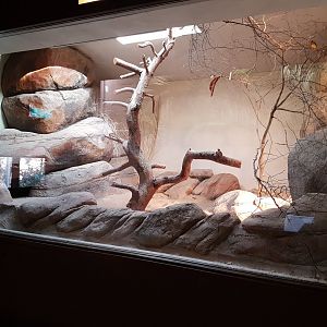 Australian enclosure