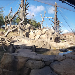 Dec. 2017 - Regenstein Macaque Forest Panorama