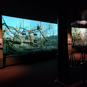 Dec. 2017 - Primate House View