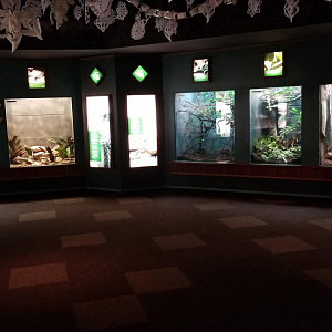 Dec. 2017 - Small Mammal-Reptile House View