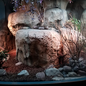 Dec. 2017 - Small Mammal-Reptile House - Beaded Lizard Exhibit