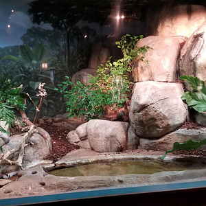 Dec. 2017 - Small Mammal-Reptile House - African Rock Python Exhibit