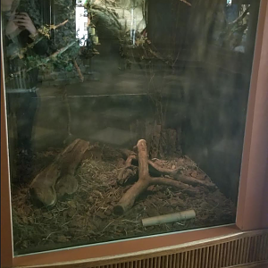 Dec. 2017 - Small Mammal-Reptile House - La Plata Three-banded Armadillo Exhibit