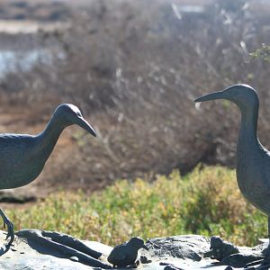 Light-footed Ridgeways Rail Statue