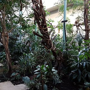 Part former Monkey-house