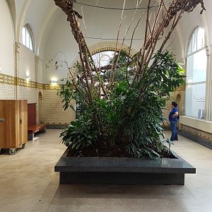 Part former Monkey-house