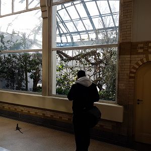 Viewing-windows into Outdoor-enclosure