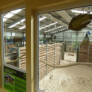 Leaf-cutter Ant Exhibit in Elephant Indoor Viewing Area