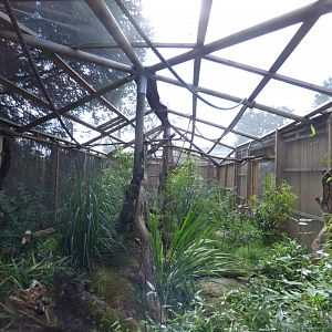 Emporer Tamarin Enclosure