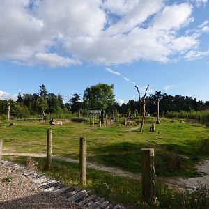 African Elehpant Paddock