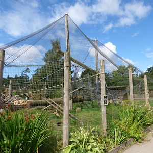 Red-ruffed Lemur exhibit