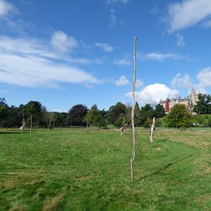 Giraffe and Ostrich Enclosure