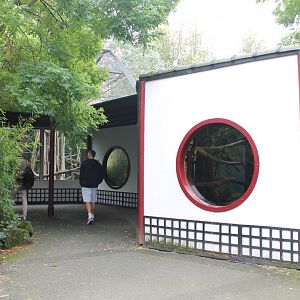 Enclosures Francois langur