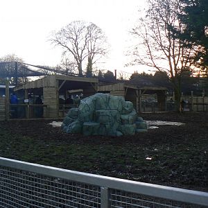 View of Tapir and Capybara Enclosure - 7 January 2018