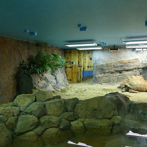 Aldabran giant tortoise house, January 2018