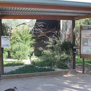 Orange-bellied Parrot & Helmeted Honeyeater enclosure