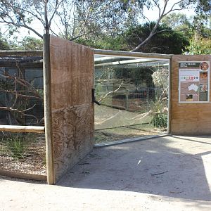 Spotted-tail Quoll enclosure
