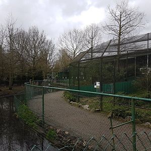 Owl and Bird of prey aviaries - and Ground hornbill