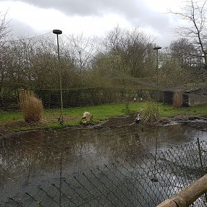 Wading-bird-aviary