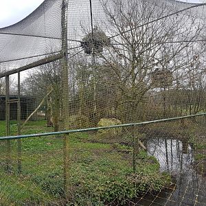 Wading-bird-aviary - with stork-nest on top