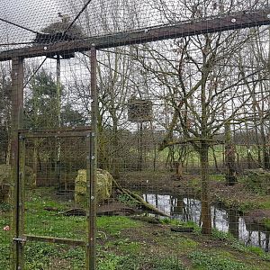 Wading-bird-aviary